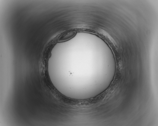 X0000101391064200807211008