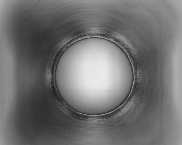 X0000101391065200807211008