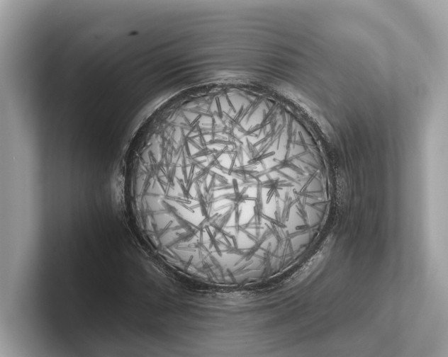 X0000101391066200807211008