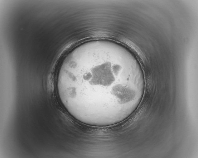 X0000101391067200807211008