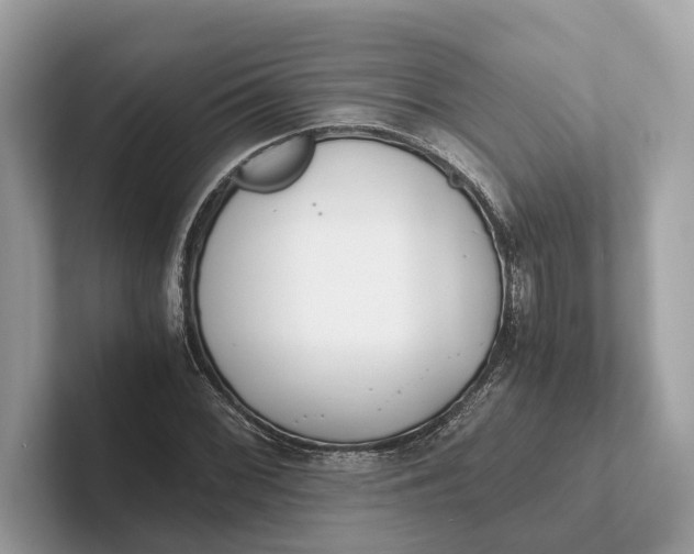 X0000101391068200807211008