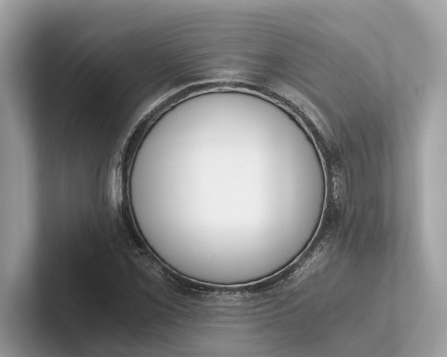 X0000101391069200807211008