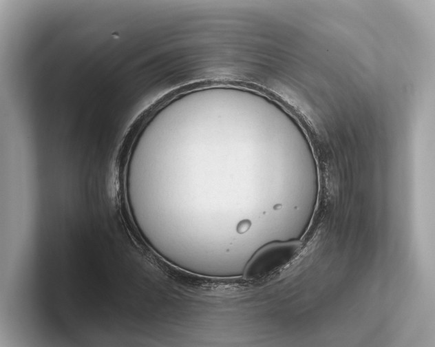 X0000101391070200807211008