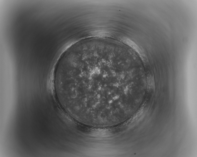 X0000101391071200807211008