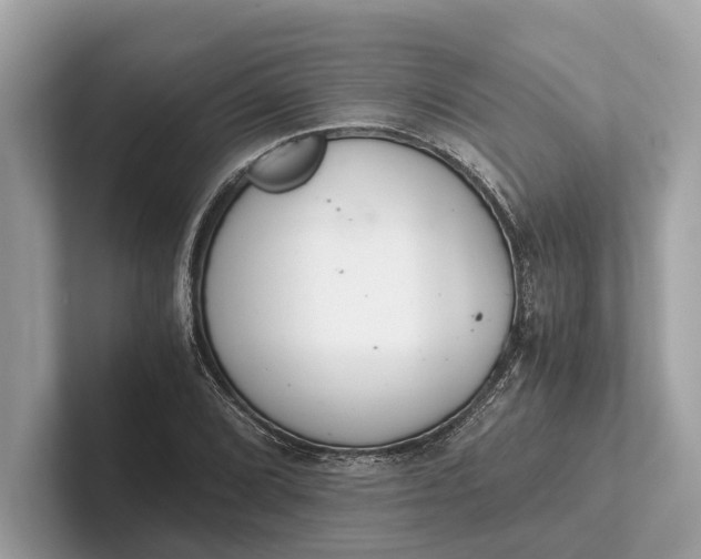 X0000101391072200807211008