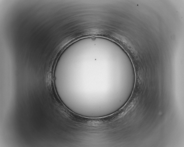 X0000101391073200807211008