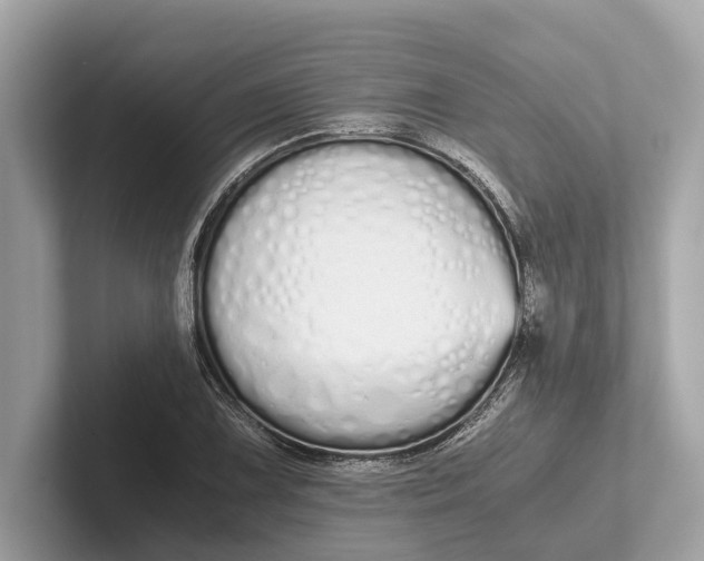 X0000101391075200807211008