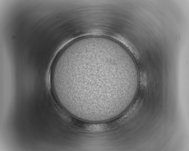 X0000101391078200807211008