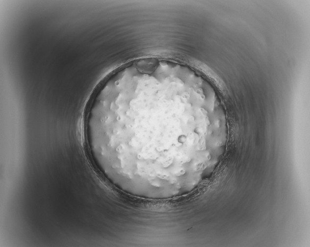 X0000101391079200807211008