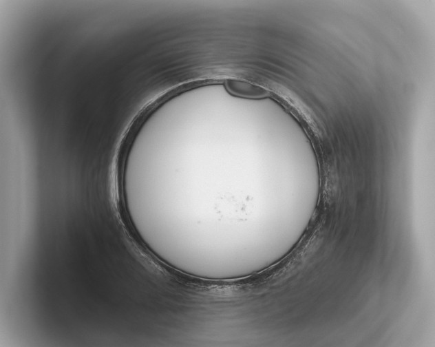 X0000101391080200807211008