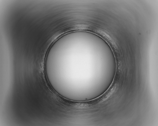 X0000101391081200807211008