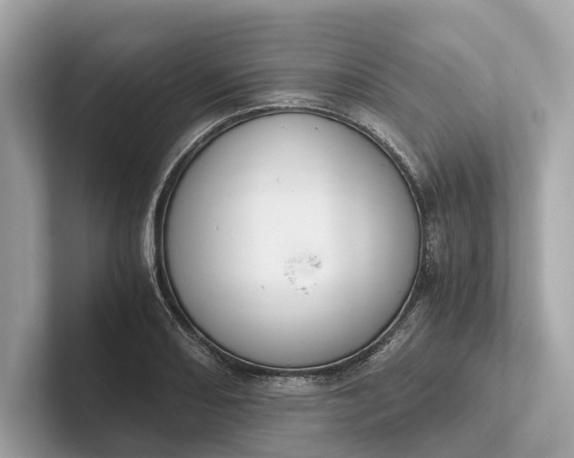 X0000101391082200807211008