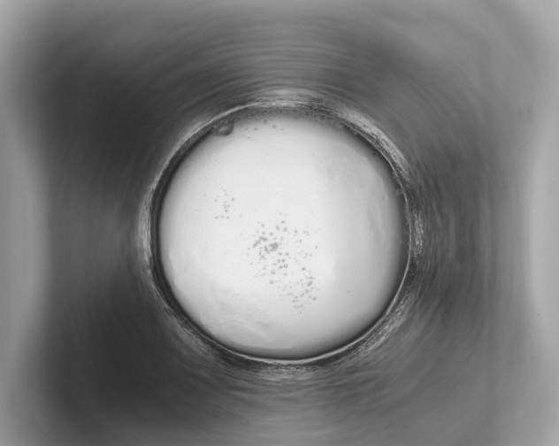 X0000101391083200807211008