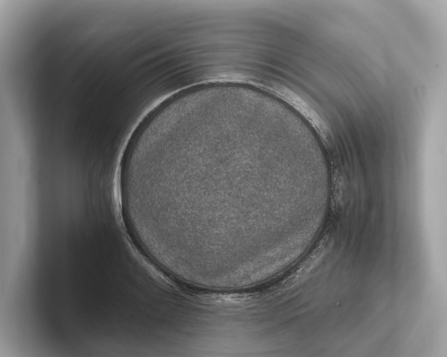 X0000101391084200807211008