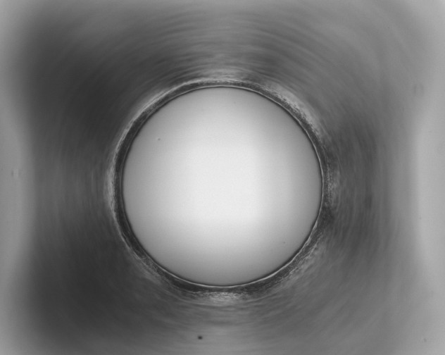 X0000101391085200807211008