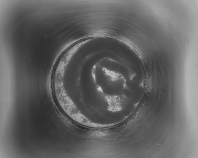 X0000101391086200807211008