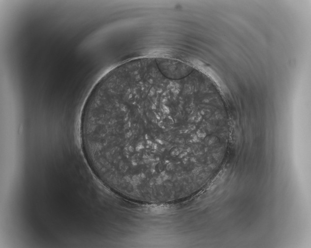 X0000101391087200807211008