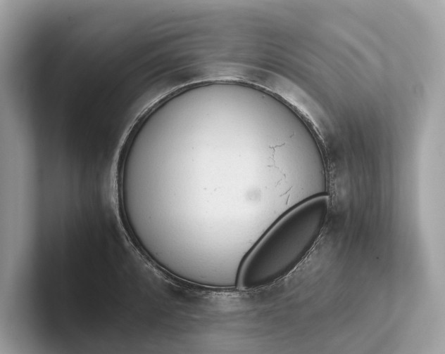 X0000101391088200807211008