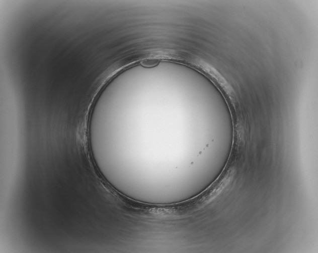 X0000101391089200807211008