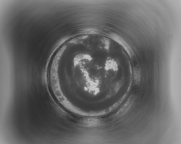 X0000101391090200807211008