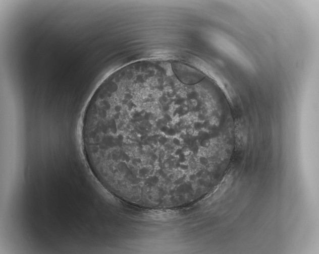 X0000101391091200807211008