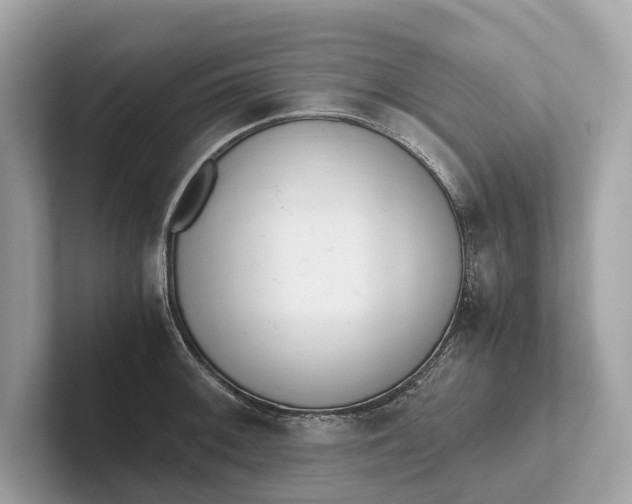 X0000101391092200807211008