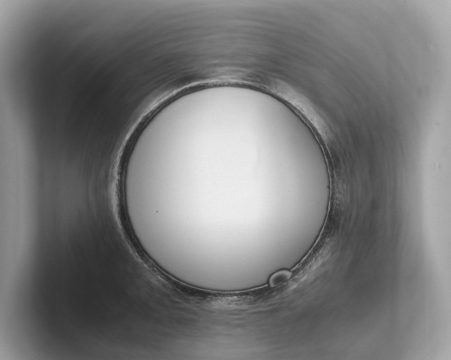 X0000101391093200807211008