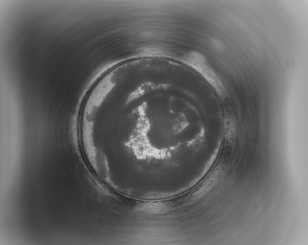 X0000101391094200807211008