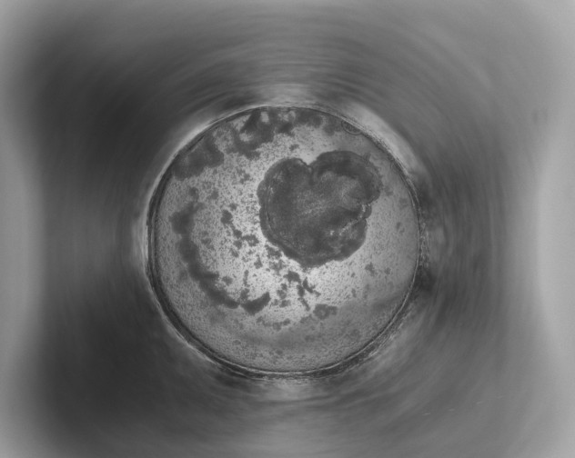 X0000101391095200807211008