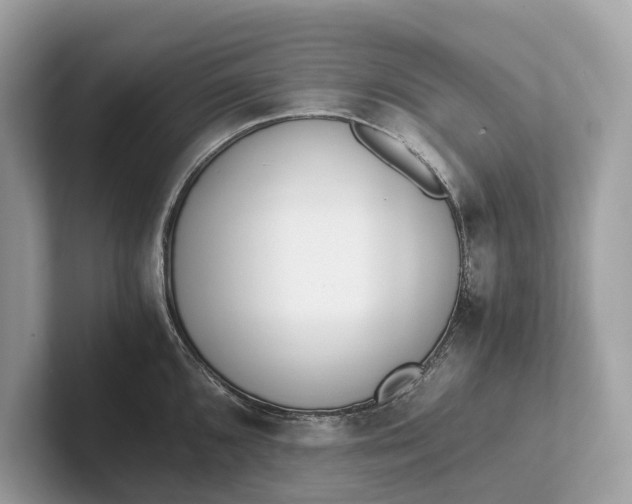 X0000101391096200807211008