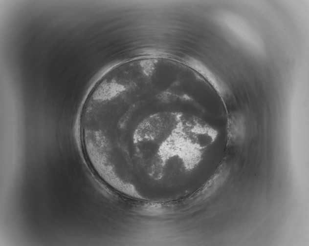 X0000101391098200807211008