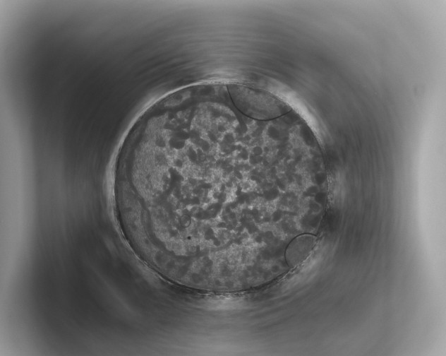 X0000101391099200807211008