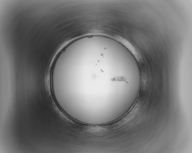 X0000101391100200807211008