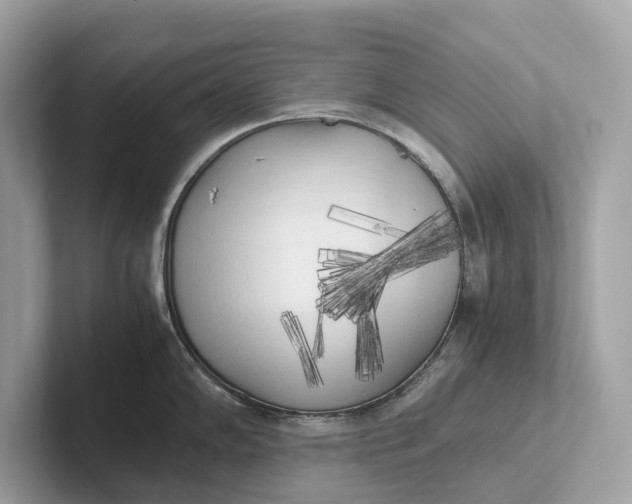 X0000101391102200807211008