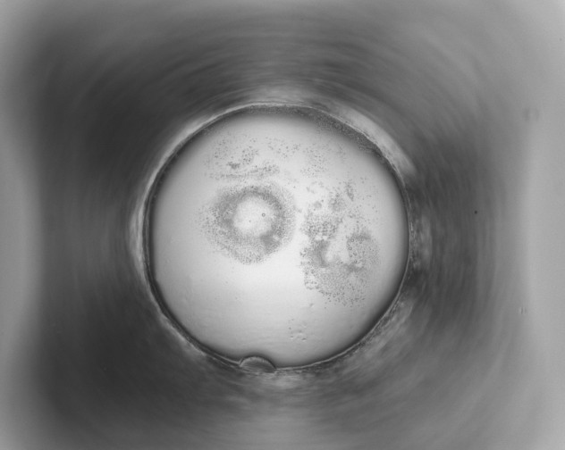 X0000101391103200807211008