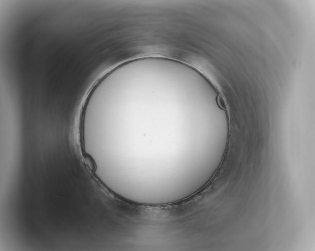 X0000101391104200807211008