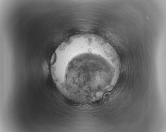 X0000101391106200807211007