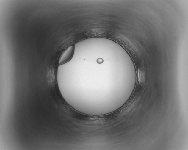 X0000101391107200807211007