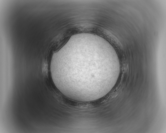 X0000101391108200807211007