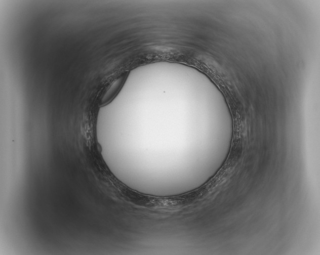 X0000101391109200807211007