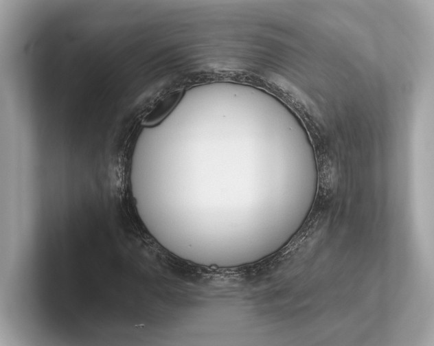 X0000101391110200807211007