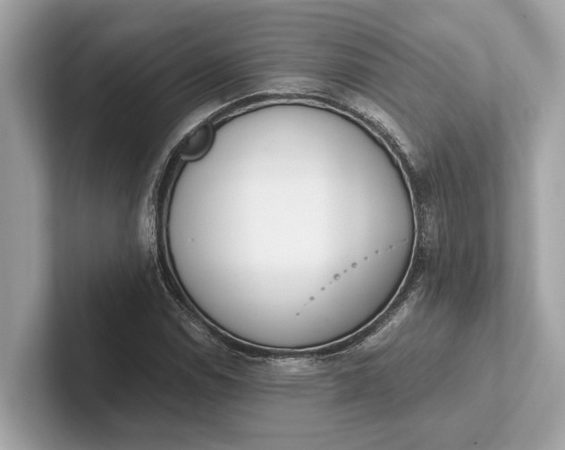 X0000101391114200807211007