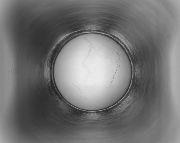 X0000101391115200807211007