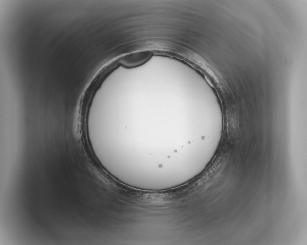 X0000101391116200807211007