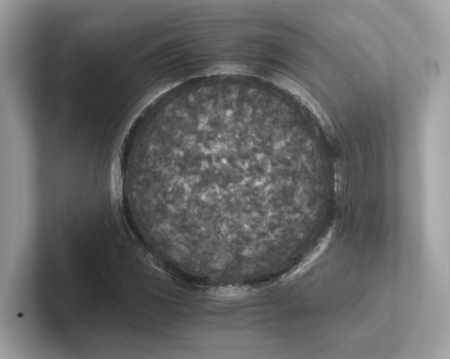 X0000101391117200807211007