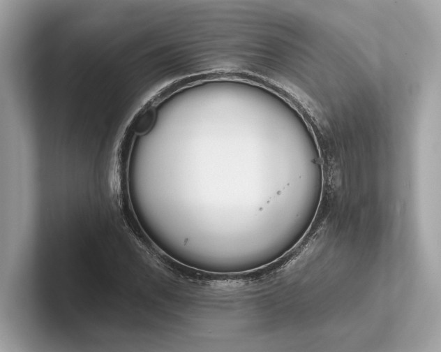 X0000101391118200807211007