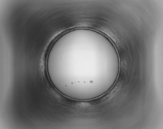 X0000101391119200807211007