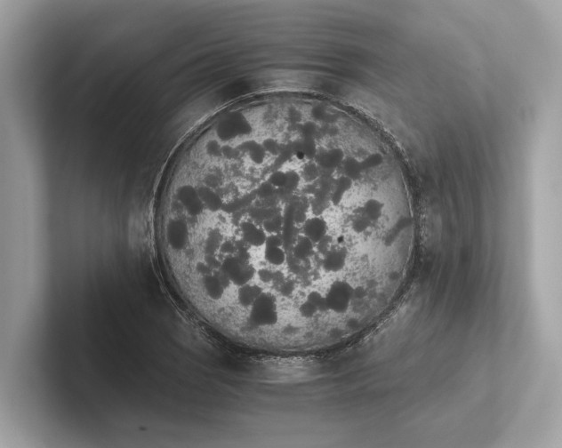 X0000101391121200807211007