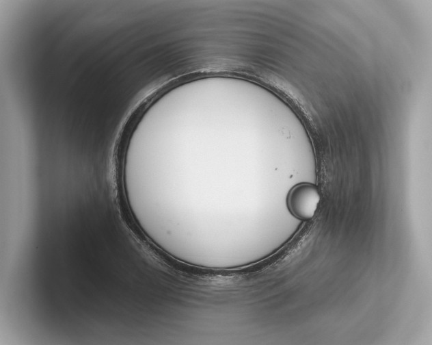 X0000101391122200807211007