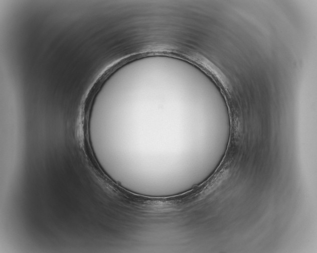 X0000101391124200807211007